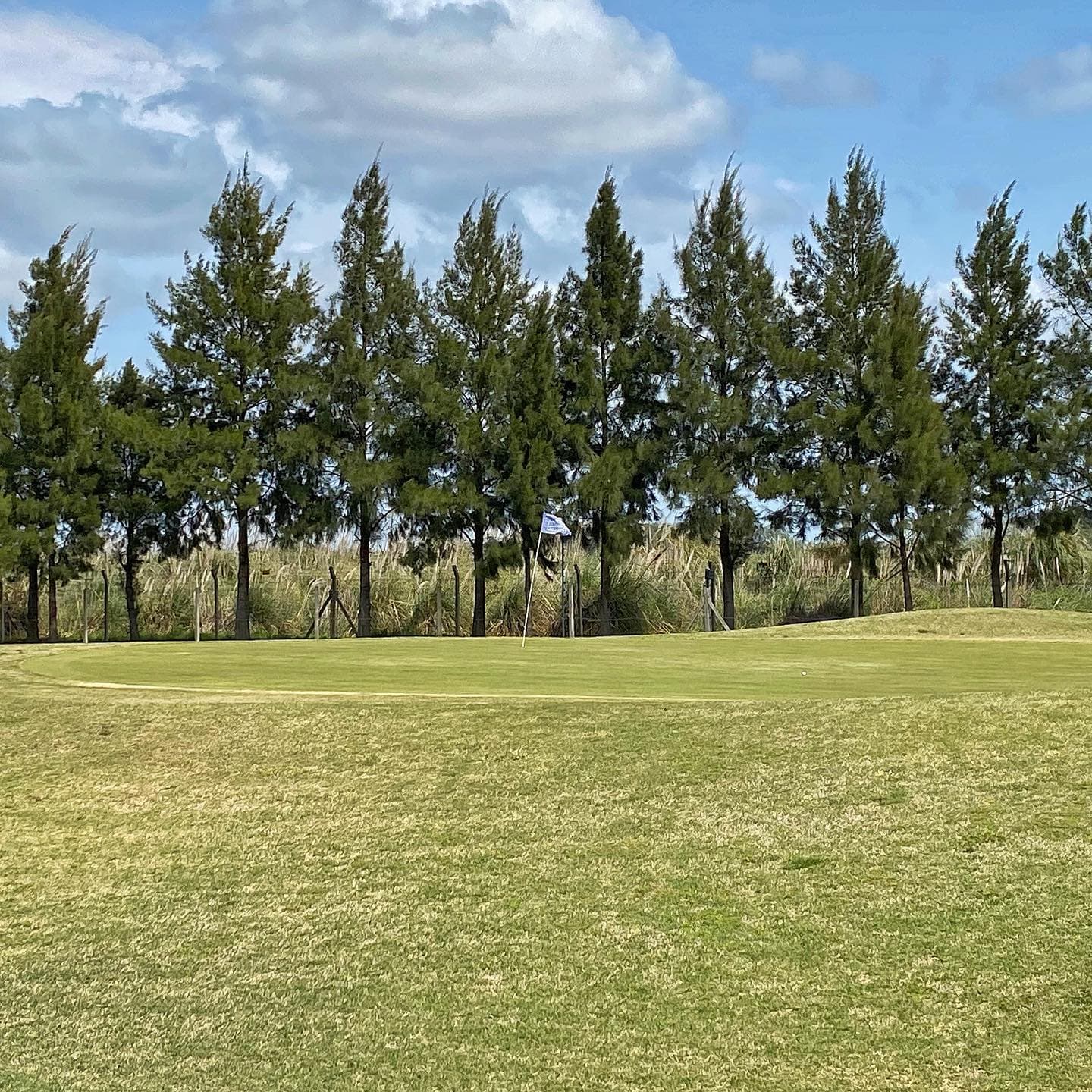 FINCAS DE SAN VICENTE CLUB DE CAMPO S. A.