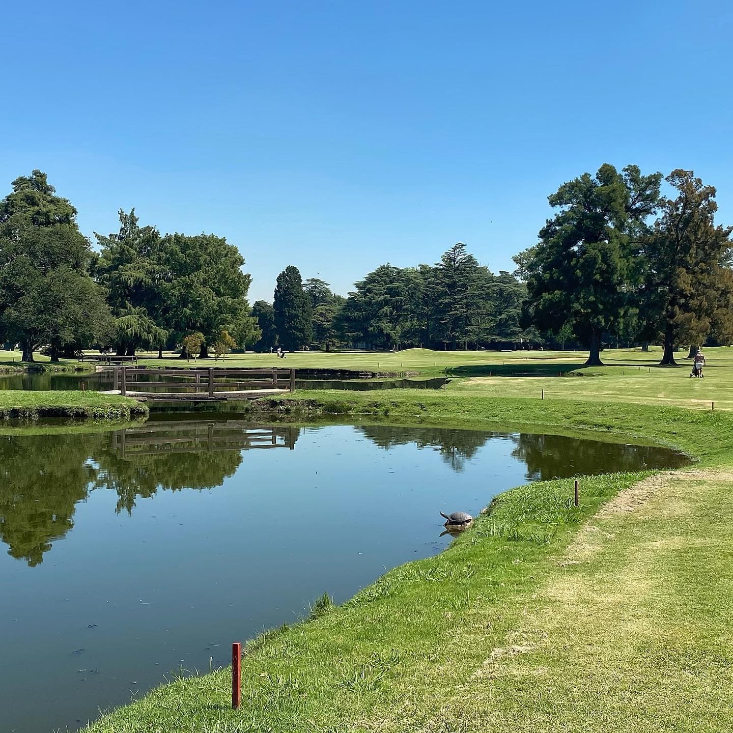 GOLF CLUB ARGENTINO