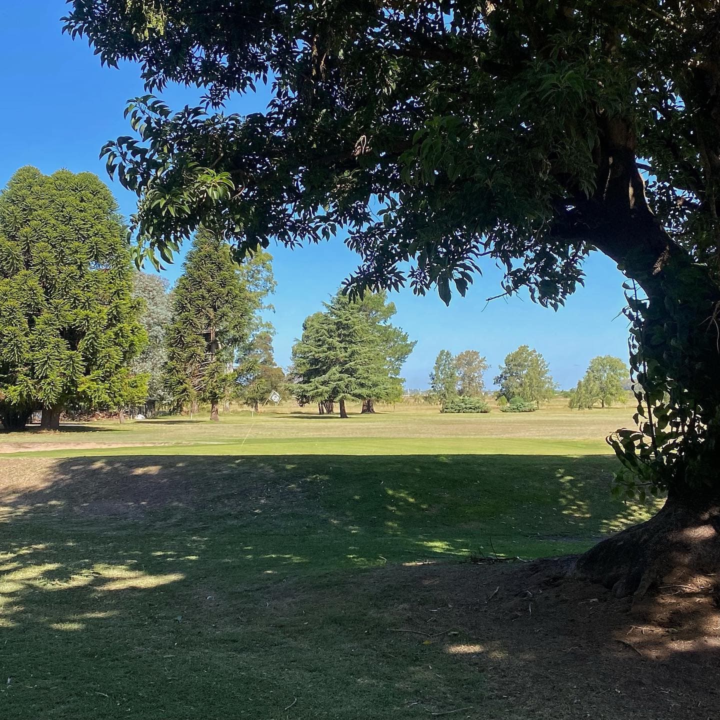GOLF CLUB DOLORES