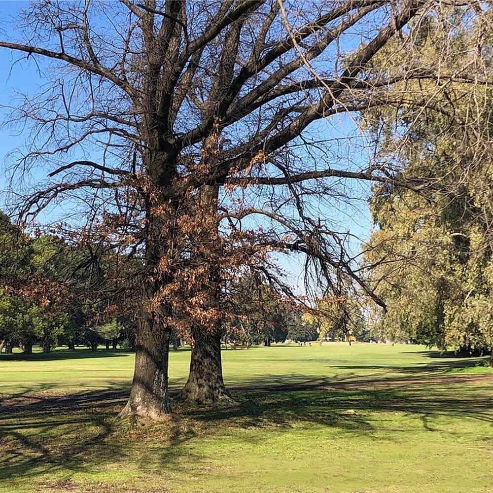 GOLF CLUB GRAL. SAN MARTIN