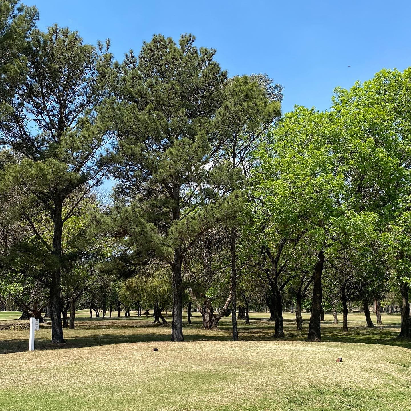 Golf Club Jose Jurado