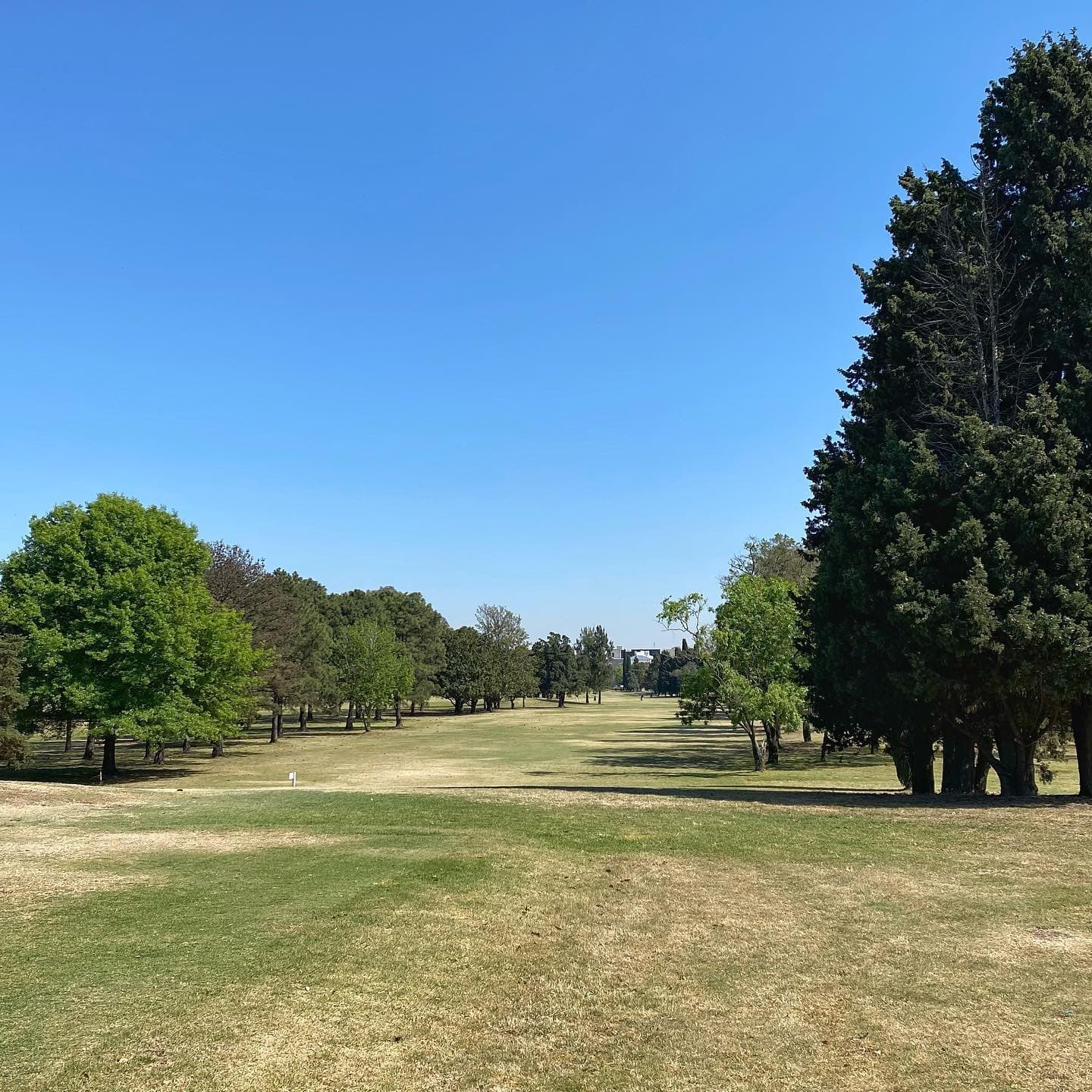 Golf Club Jose Jurado