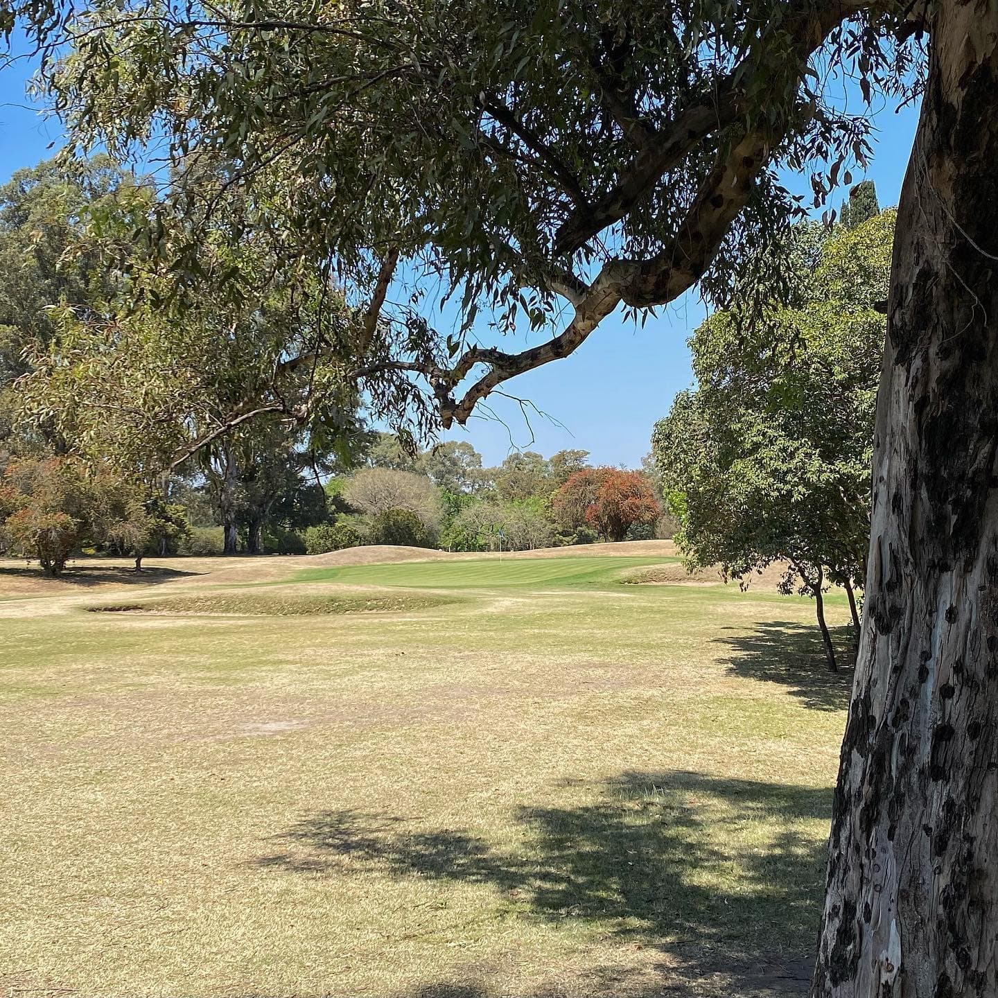 Golf Club Jose Jurado