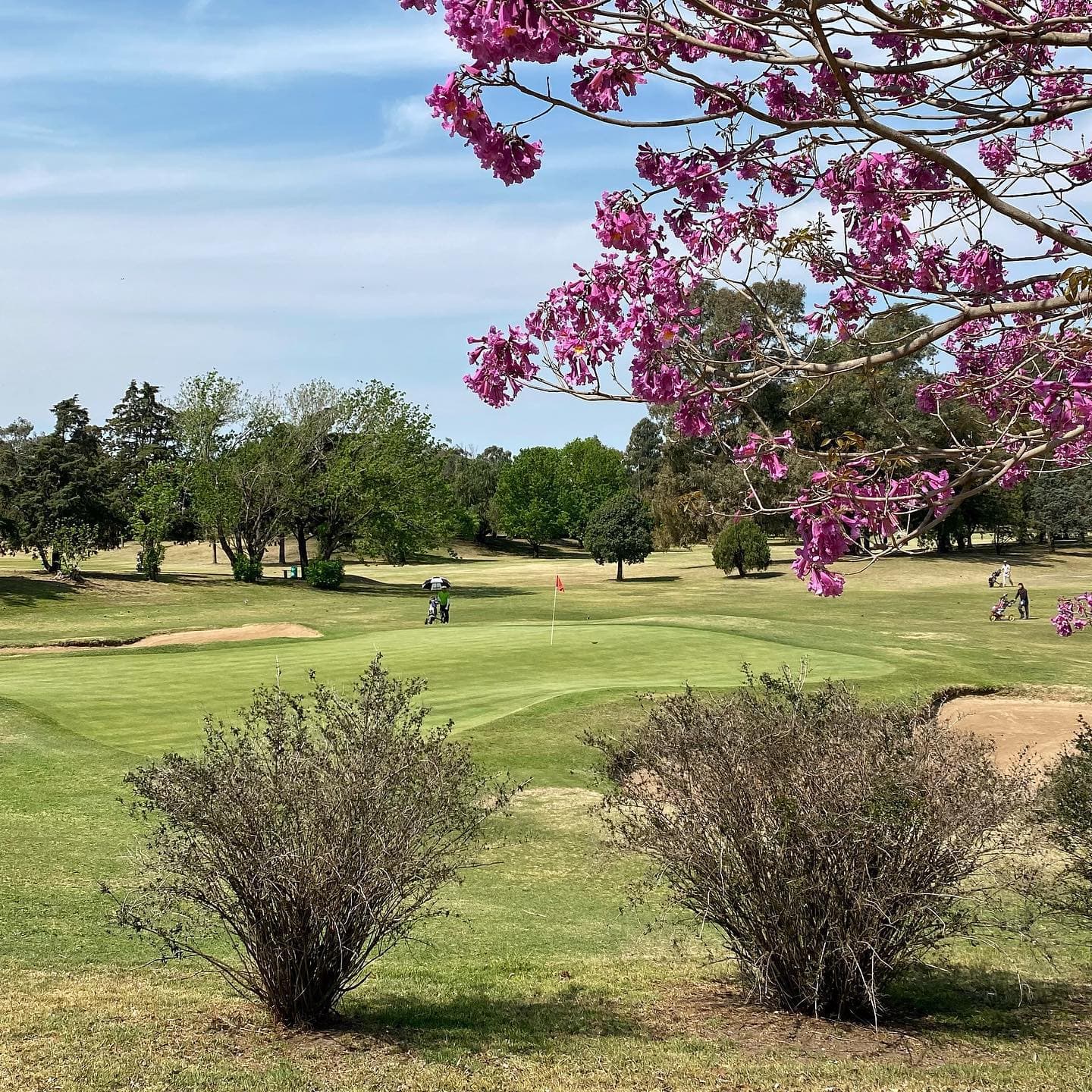 Golf Club Jose Jurado