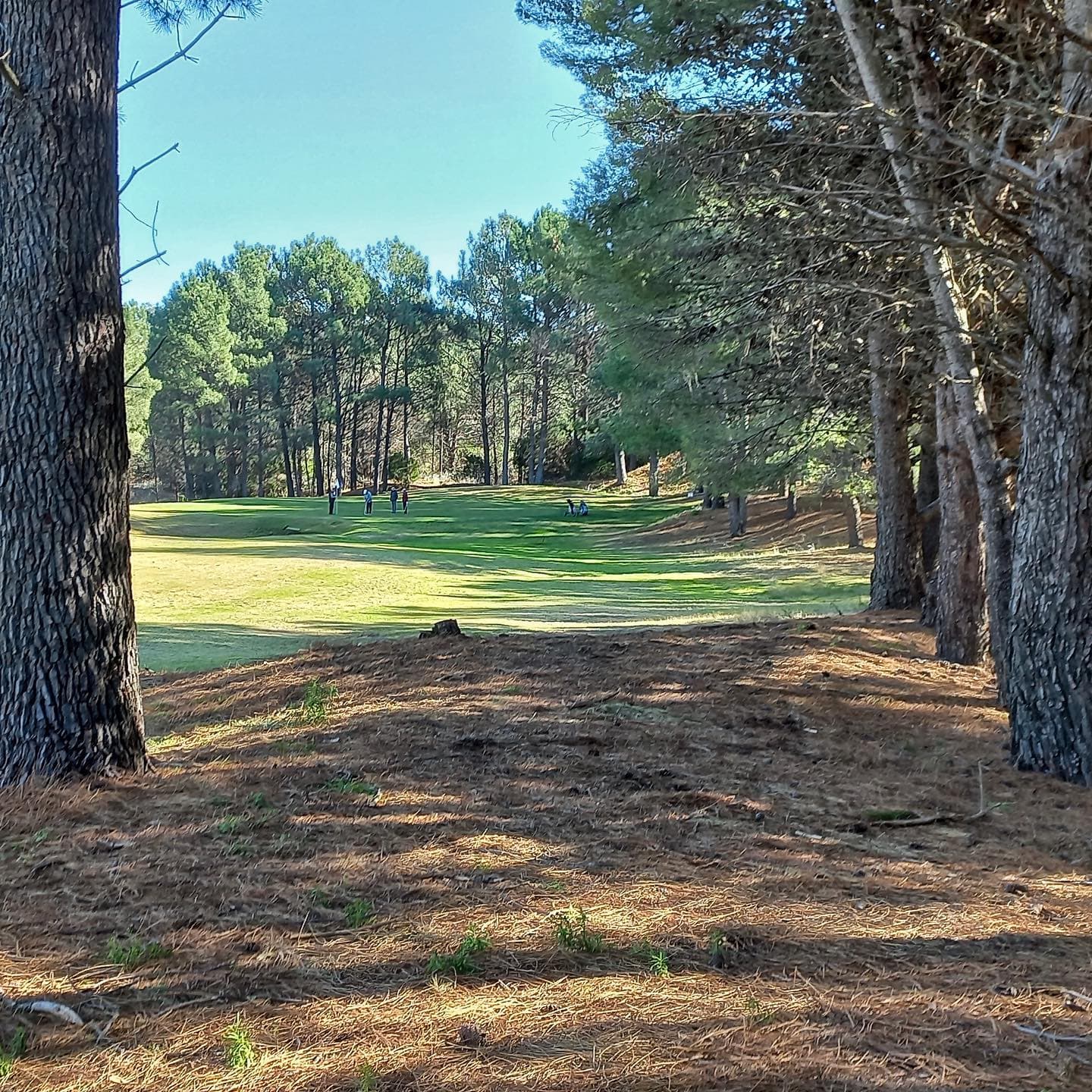 GOLF CLUB MONTE HERMOSO
