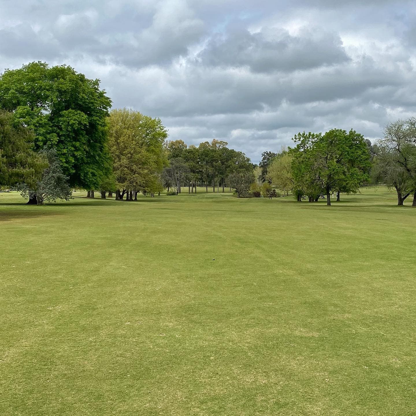 GOLFER'S COUNTRY CLUB