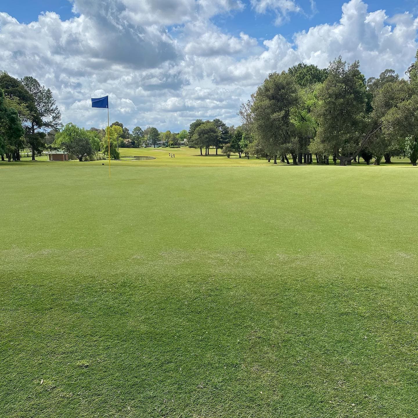 GOLFER'S COUNTRY CLUB