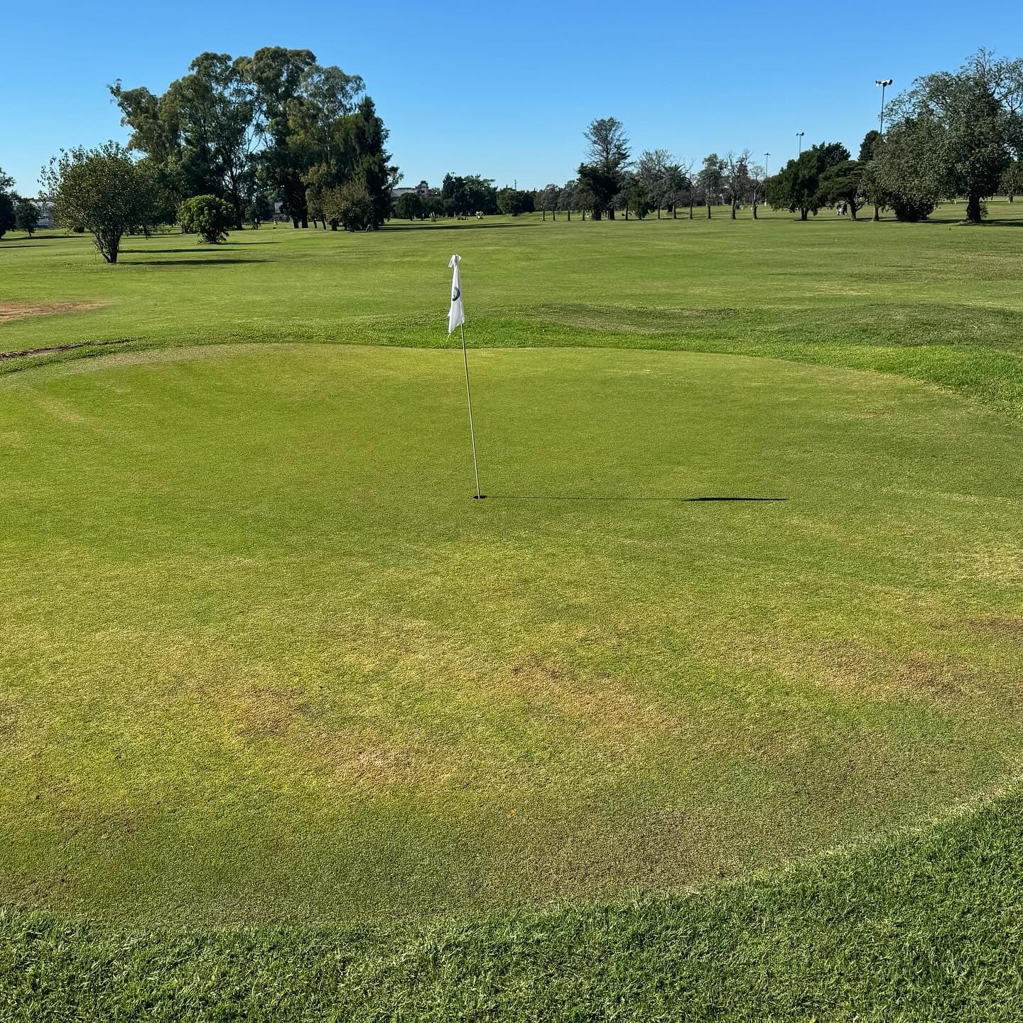 GOOD YEAR GOLF CLUB