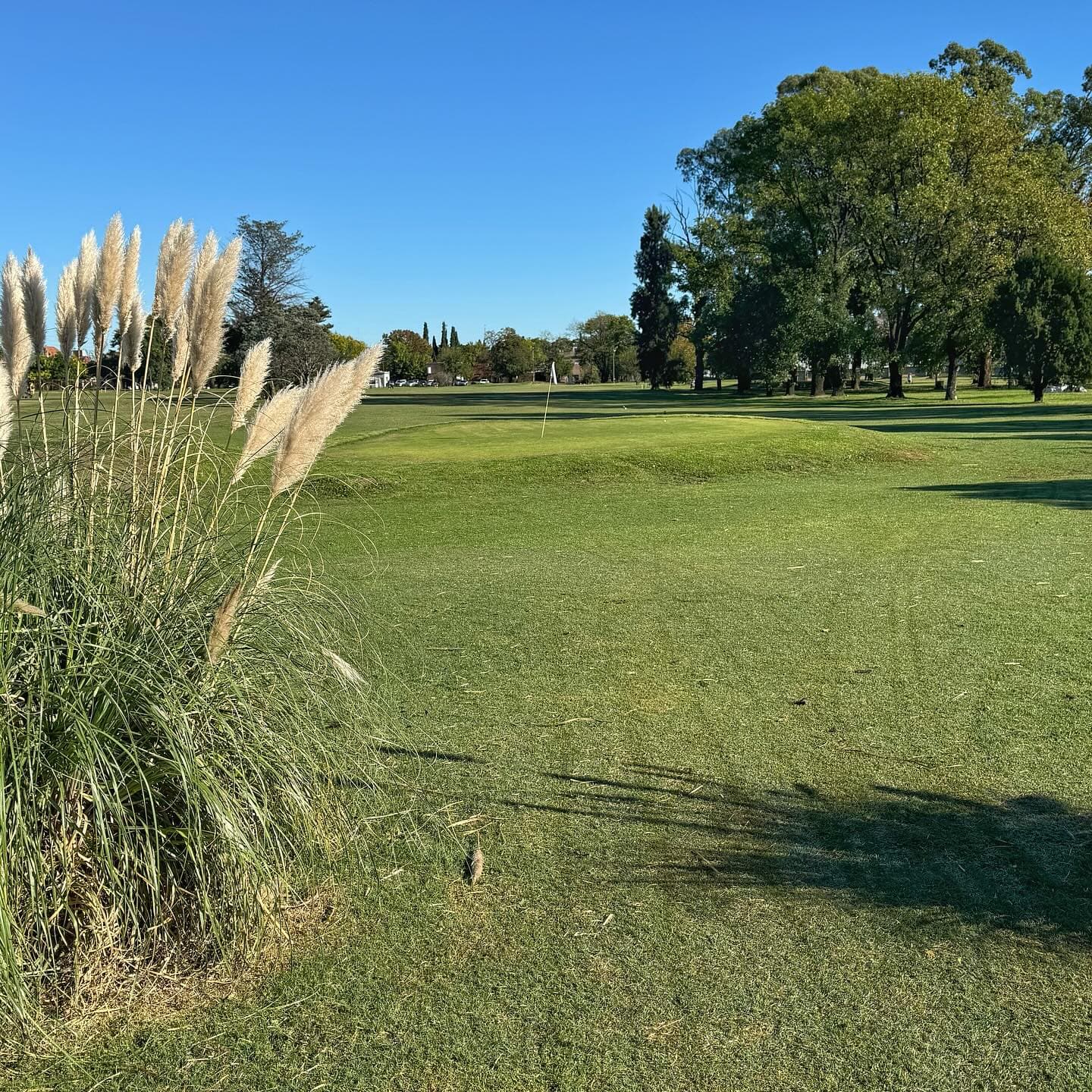 GOOD YEAR GOLF CLUB
