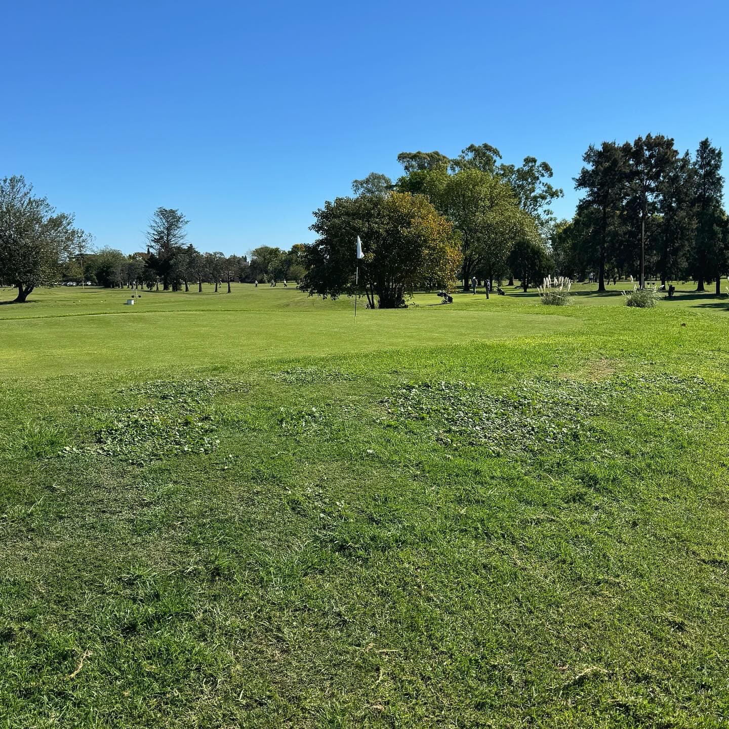 GOOD YEAR GOLF CLUB