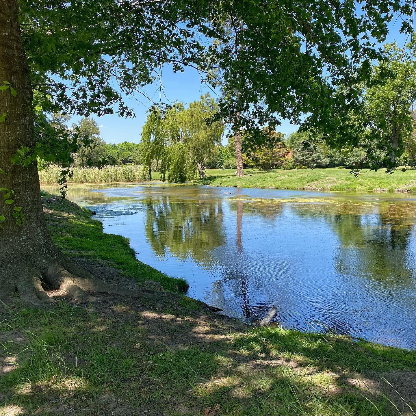 HIGHLAND PARK COUNTRY CLUB