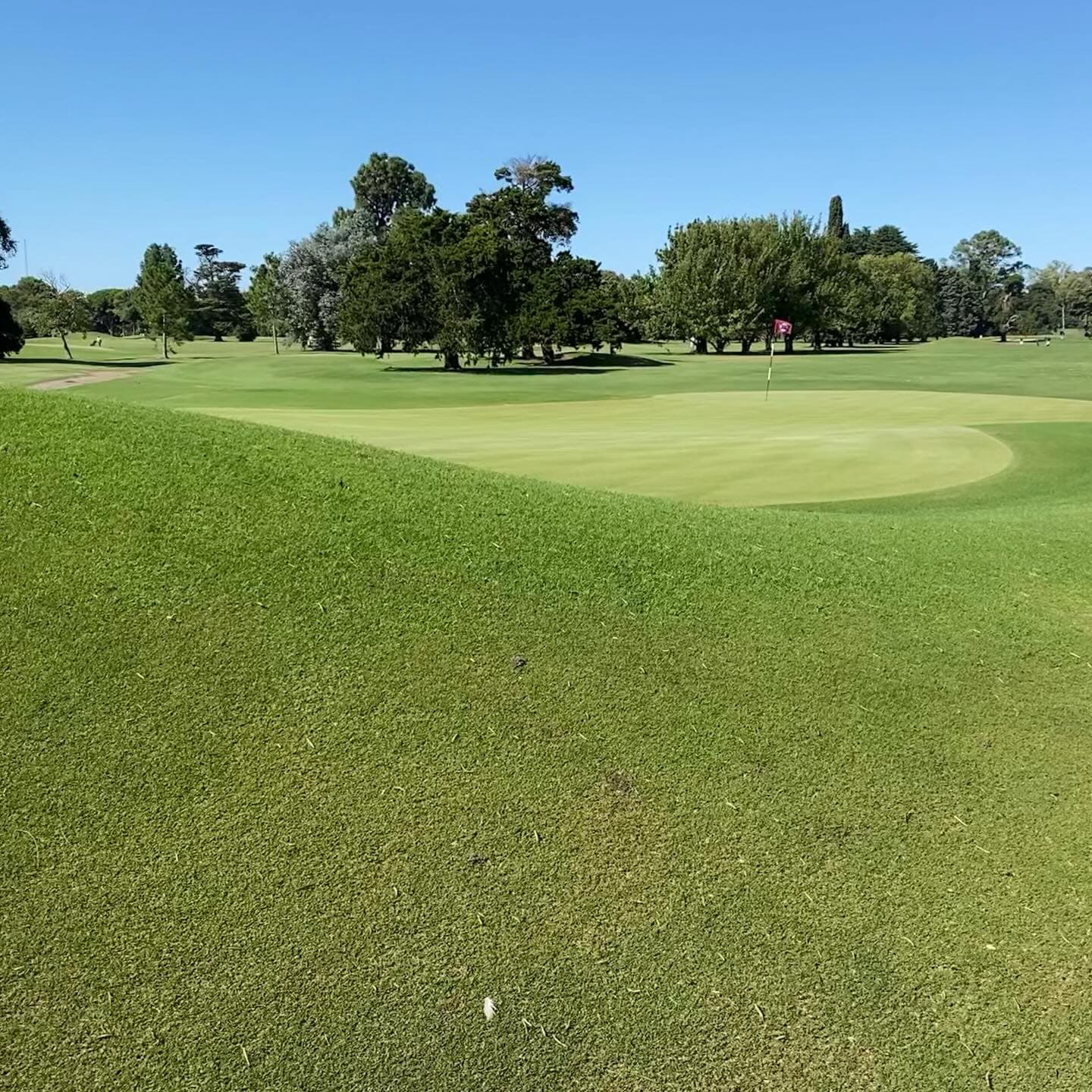 JOCKEY CLUB ARGENTINO