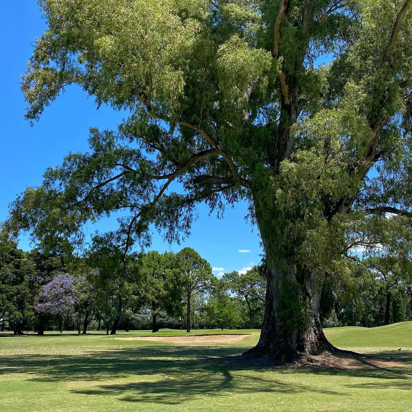 JOCKEY CLUB ARGENTINO