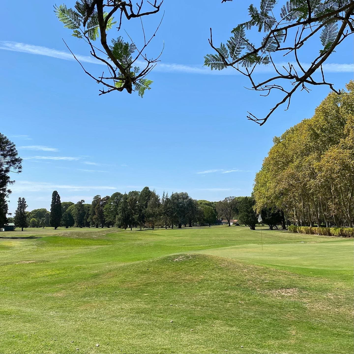 JOCKEY CLUB DE ROSARIO