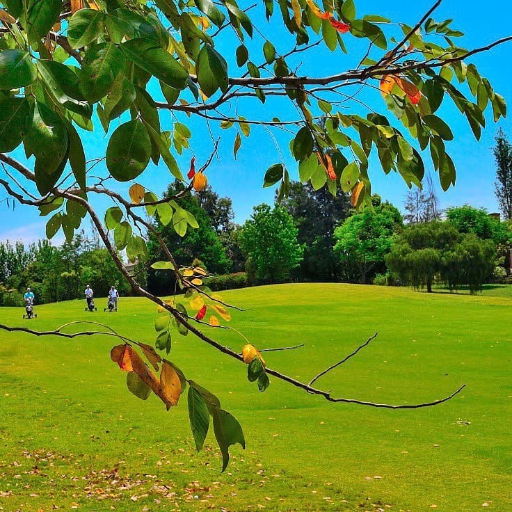 JOCKEY CLUB DE TUCUMAN