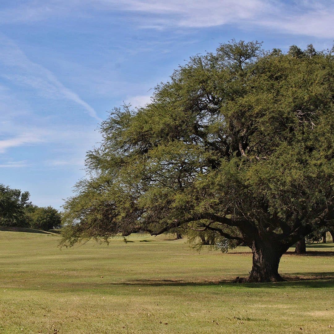 JOCKEY CLUB DE SANTA FE
