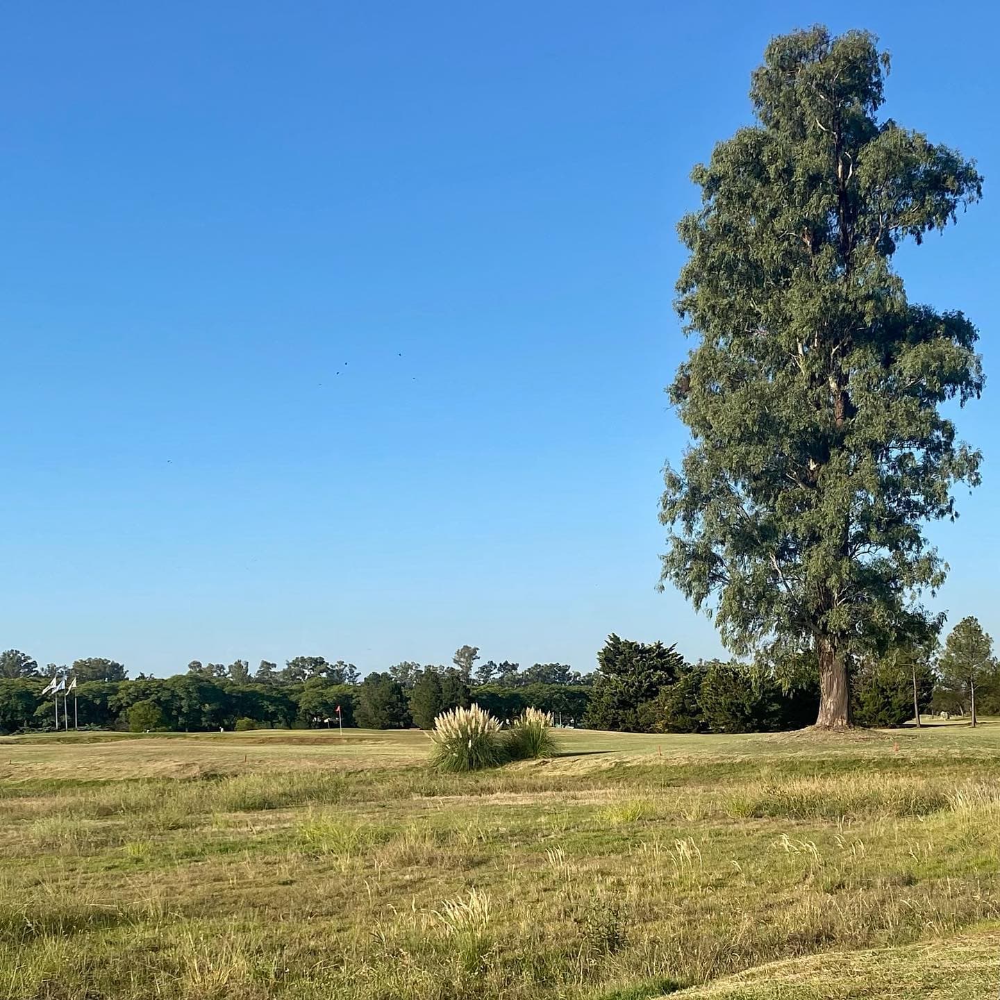 KENTUCKY CLUB DE GOLF