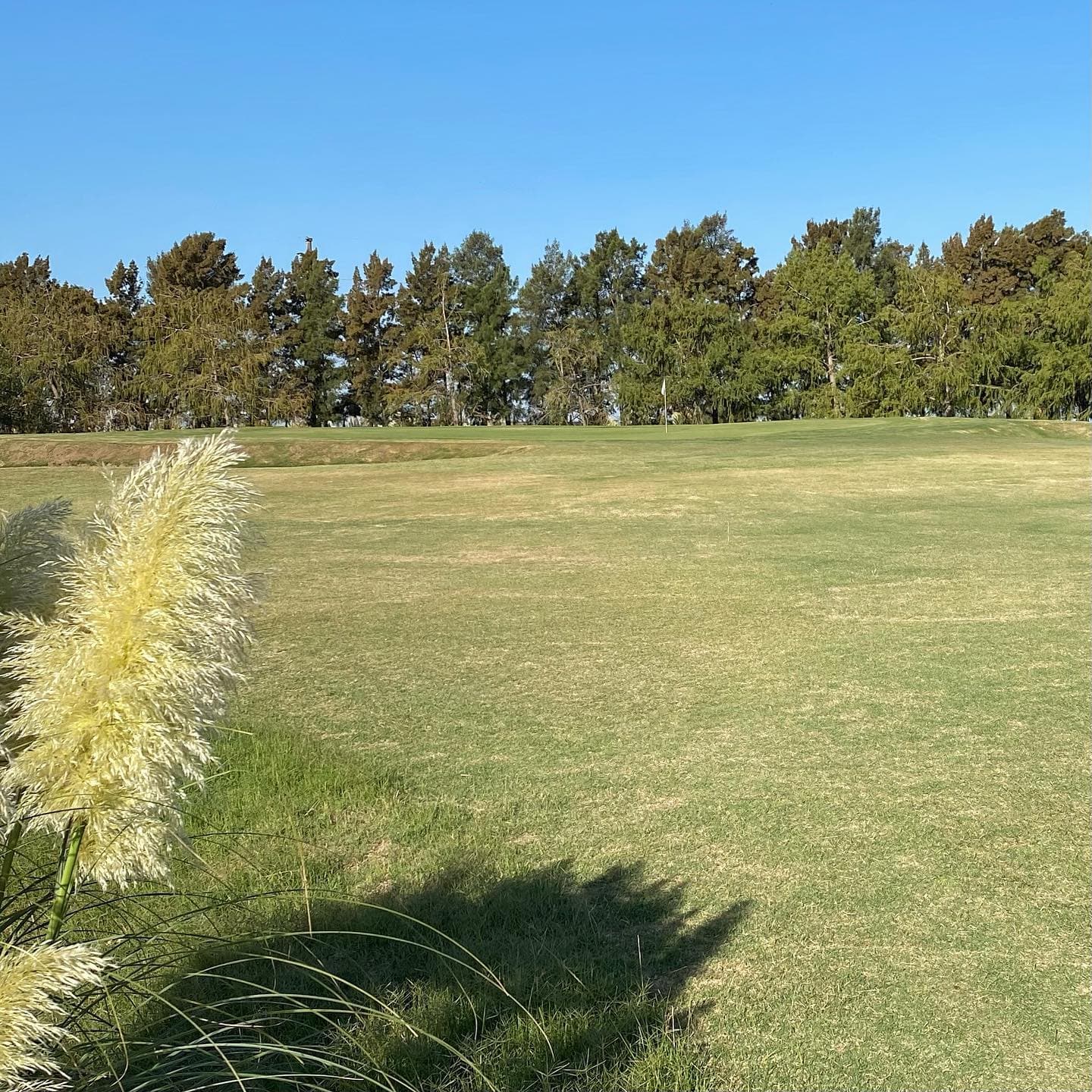 KENTUCKY CLUB DE GOLF