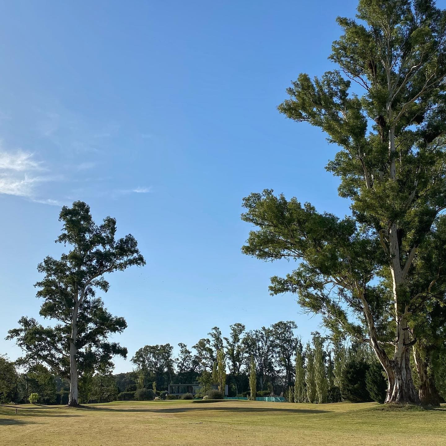 KENTUCKY CLUB DE GOLF