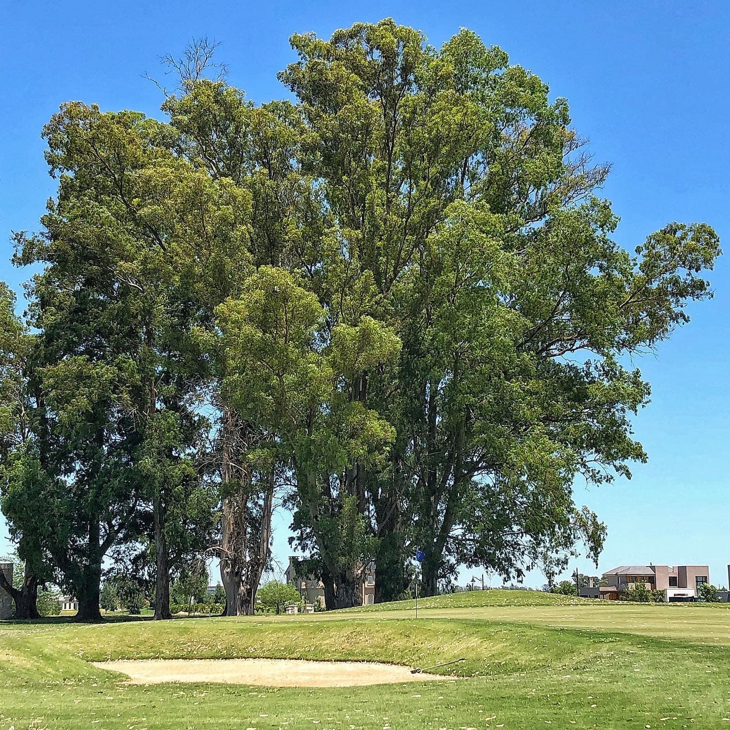 LA PROVIDENCIA RESORT