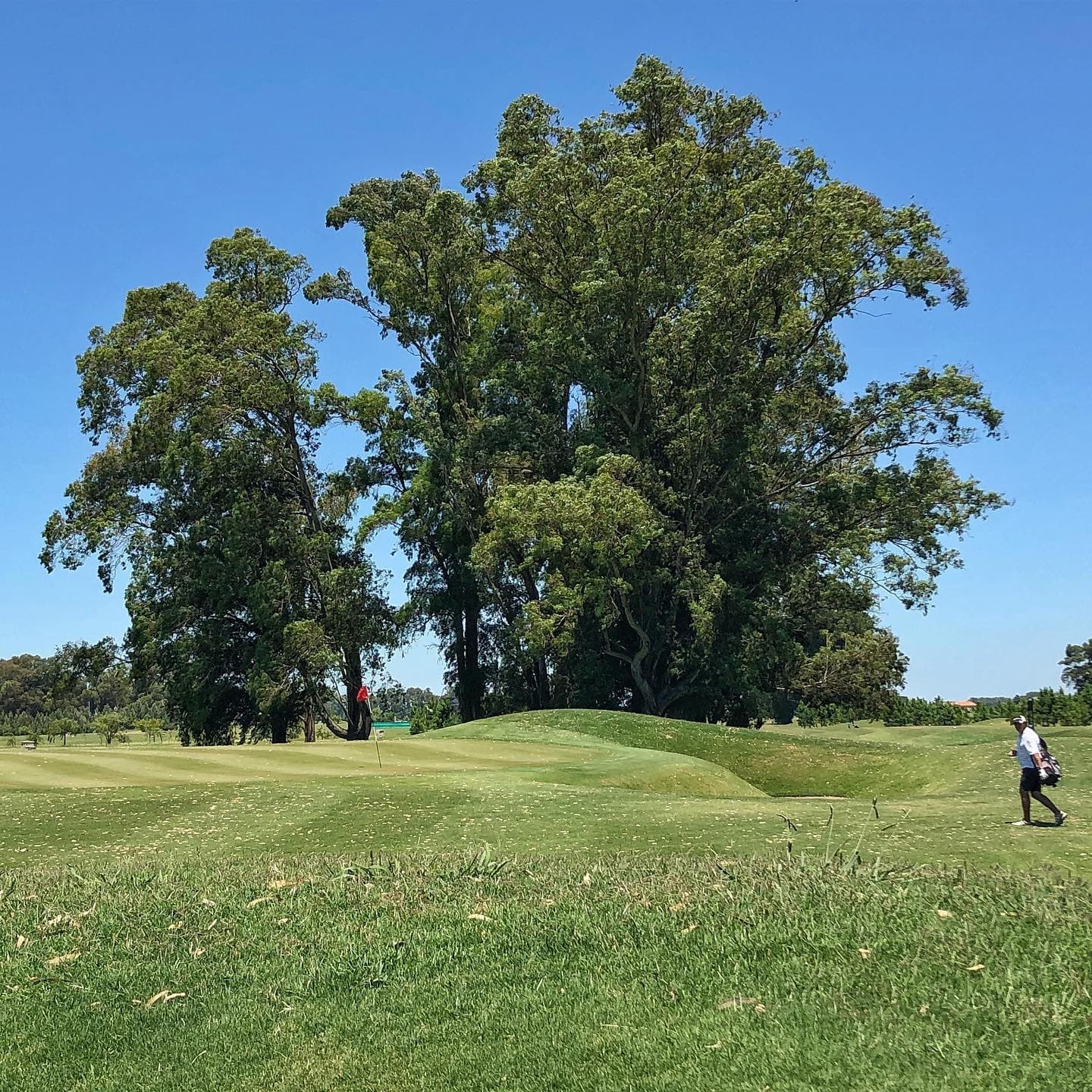 LA PROVIDENCIA RESORT