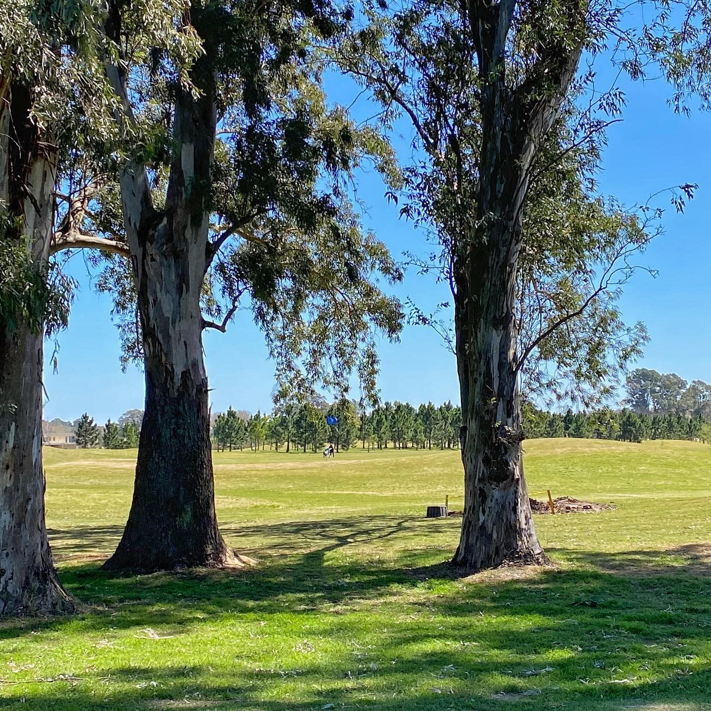 LA PROVIDENCIA RESORT