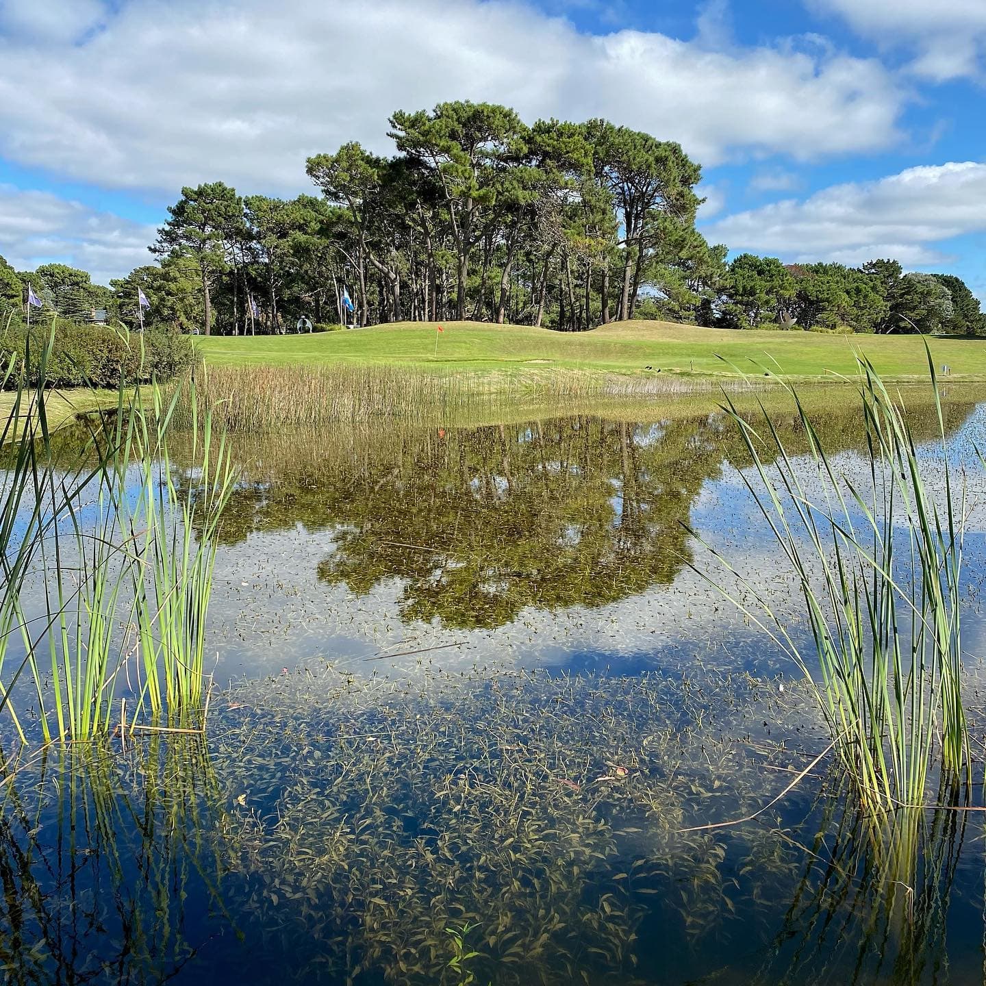 CLUB CIUDAD DE BUENOS AIRES