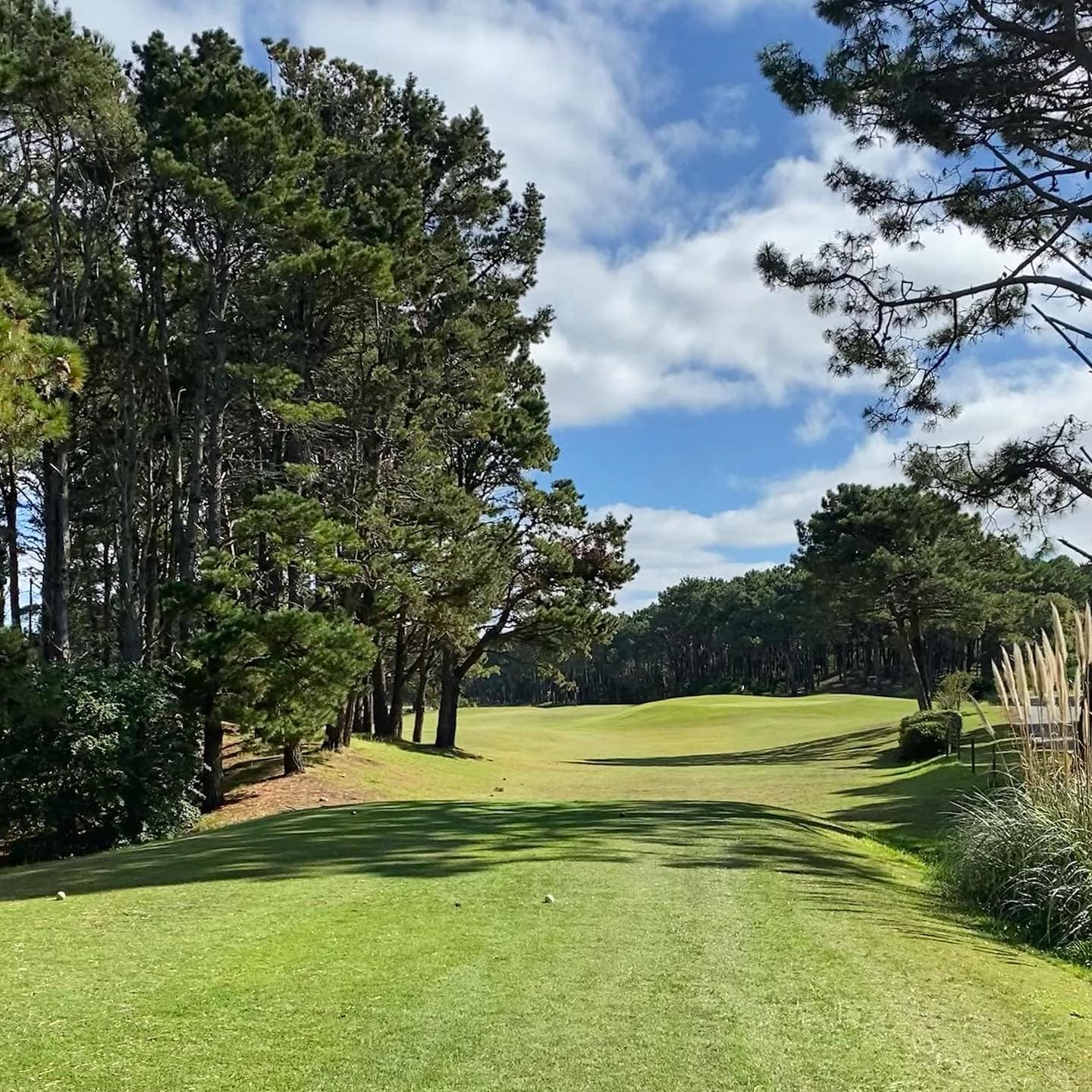 CLUB CIUDAD DE BUENOS AIRES