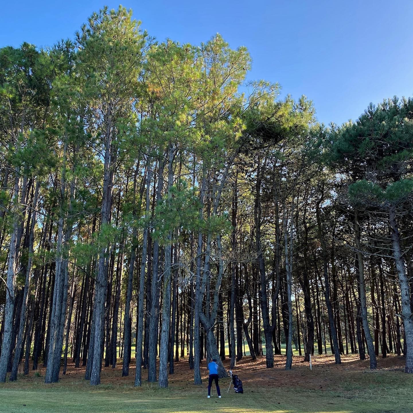 CLUB CIUDAD DE BUENOS AIRES