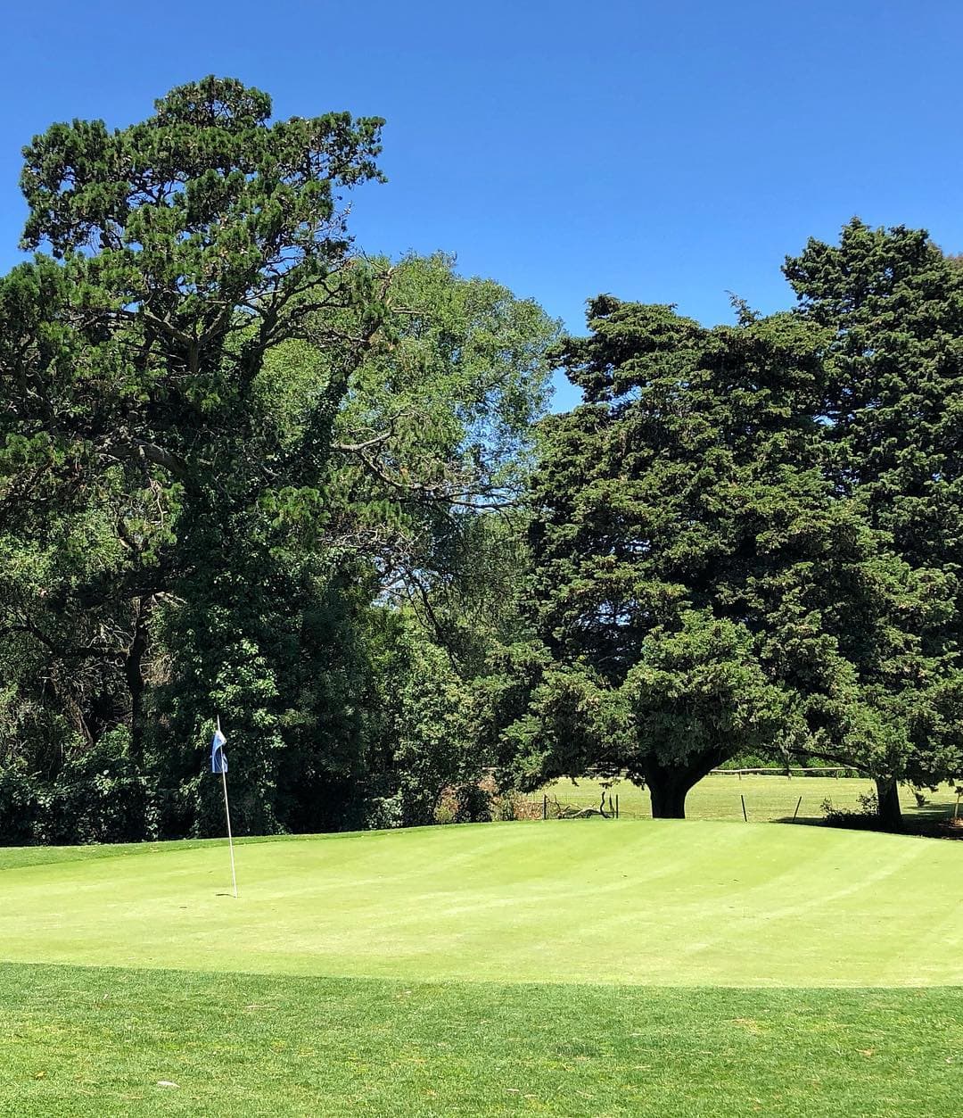 Mar del Plata Golf Club - Cancha Nueva