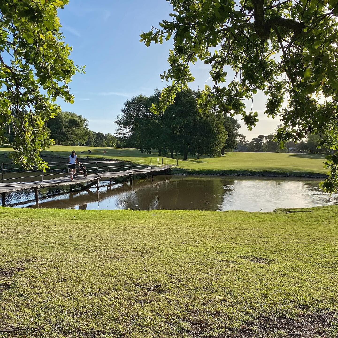 MARAYUI COUNTRY CLUB