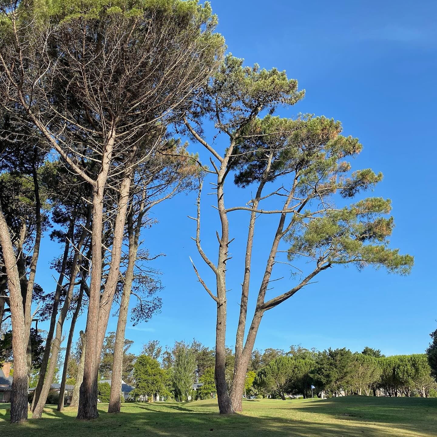 MARAYUI COUNTRY CLUB