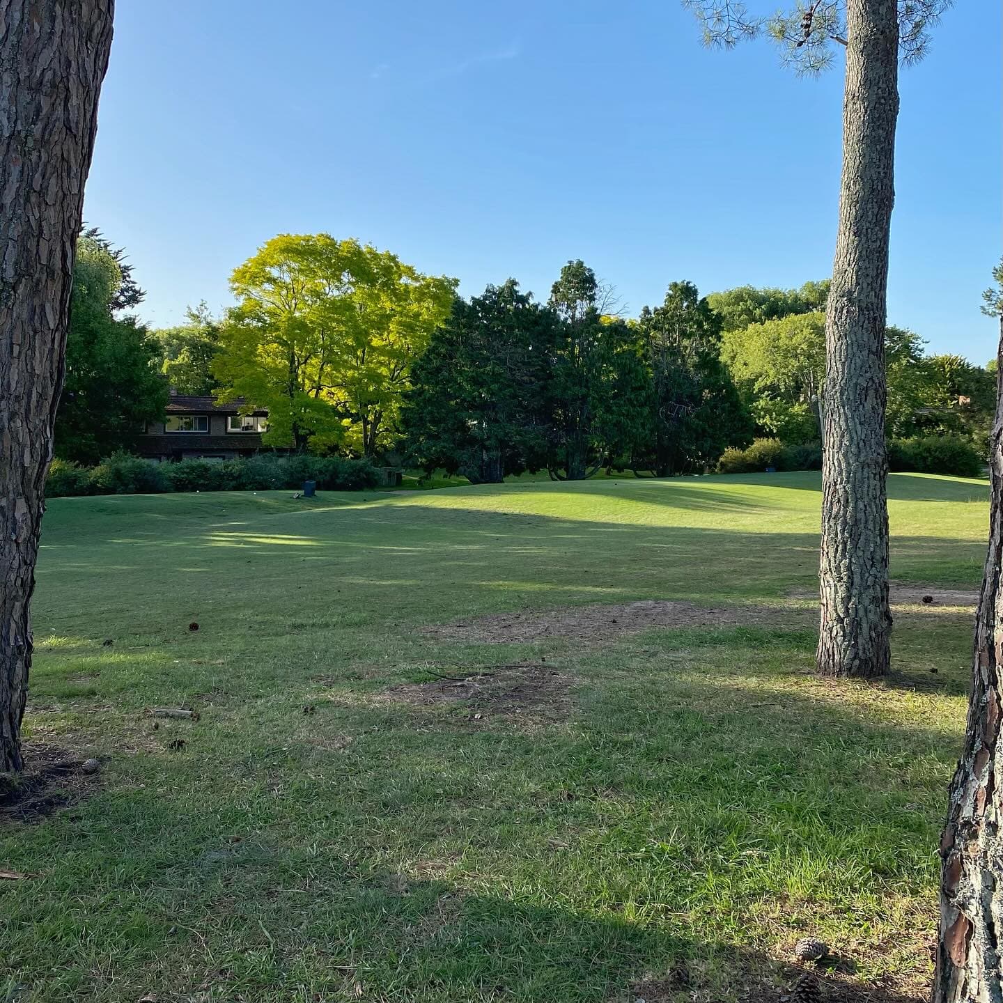 MARAYUI COUNTRY CLUB