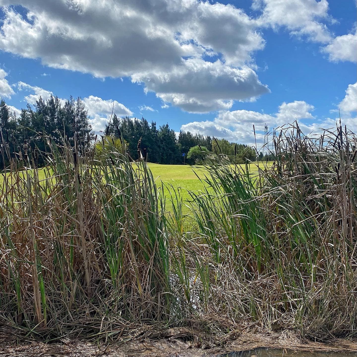 MEDAL COUNTRY CLUB PILAR