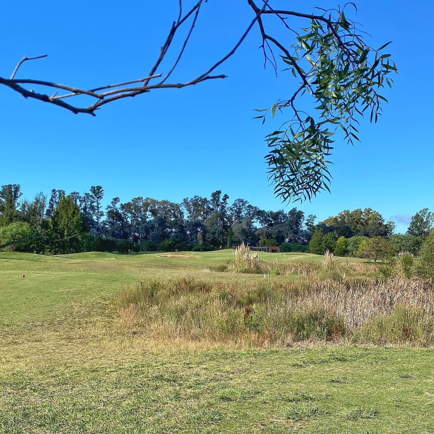 MEDAL COUNTRY CLUB PILAR