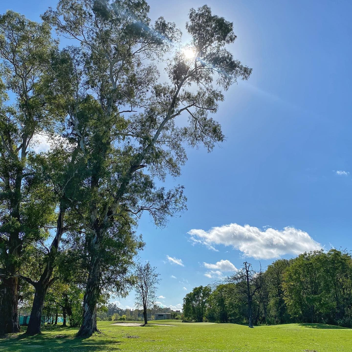 MEDAL COUNTRY CLUB PILAR