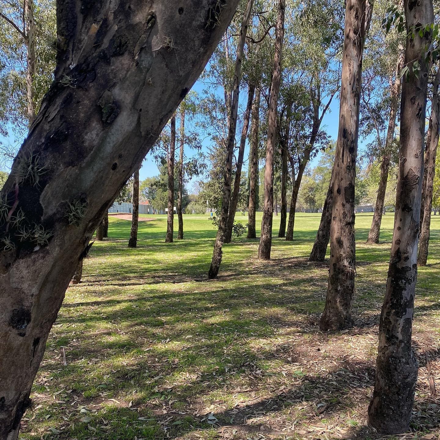 MIRAFLORES COUNTRY CLUB