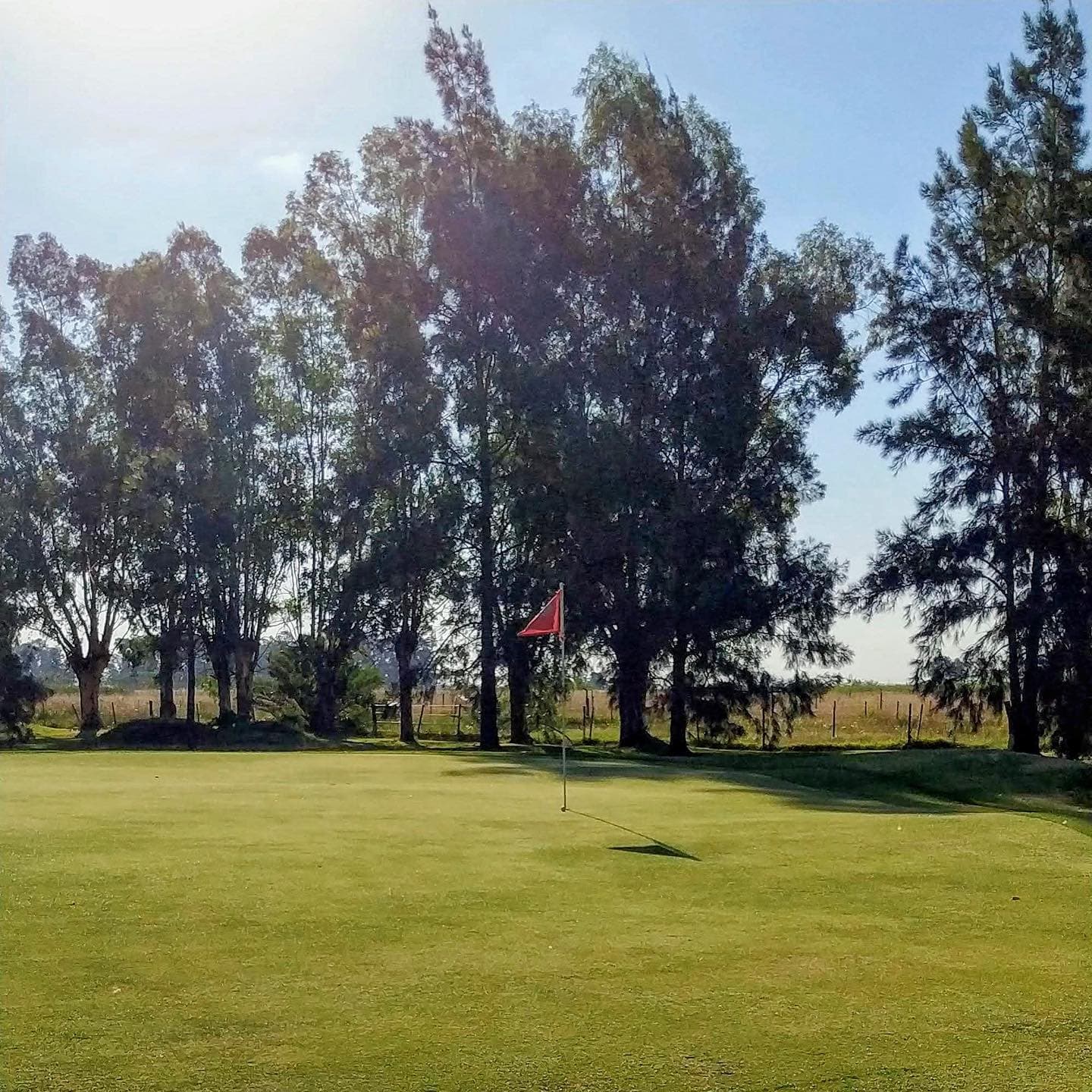 NAVARRO GOLF CLUB