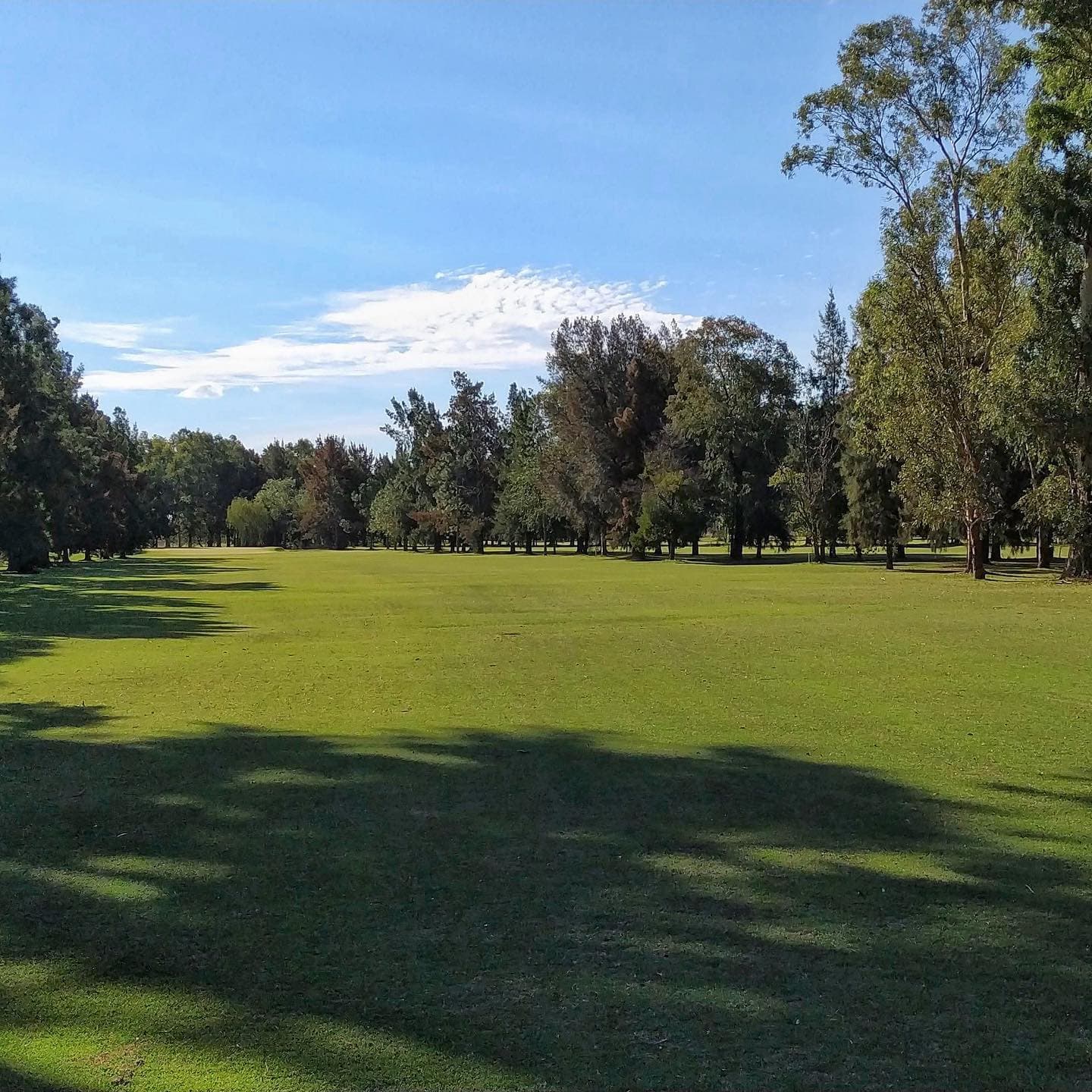 NAVARRO GOLF CLUB