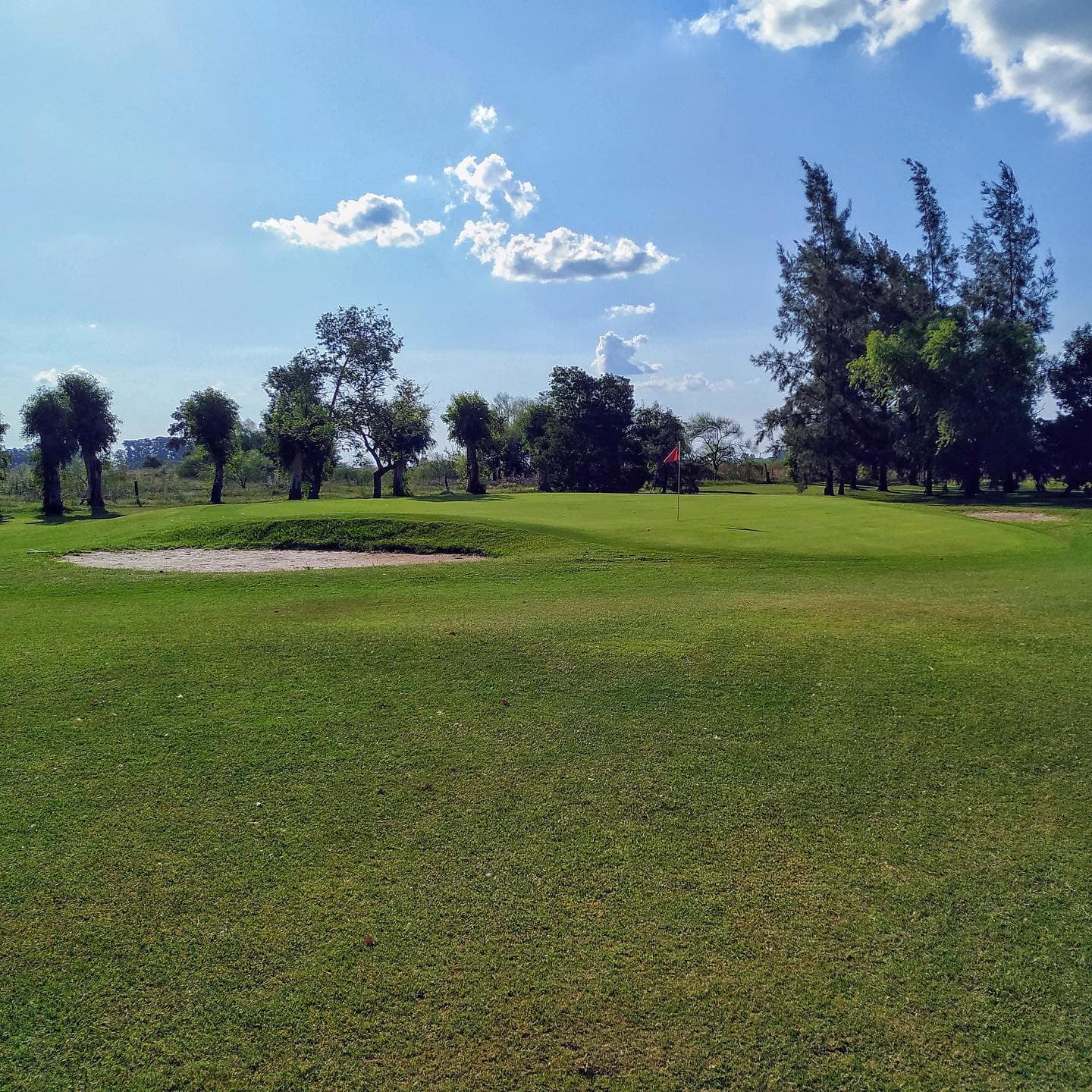 NAVARRO GOLF CLUB