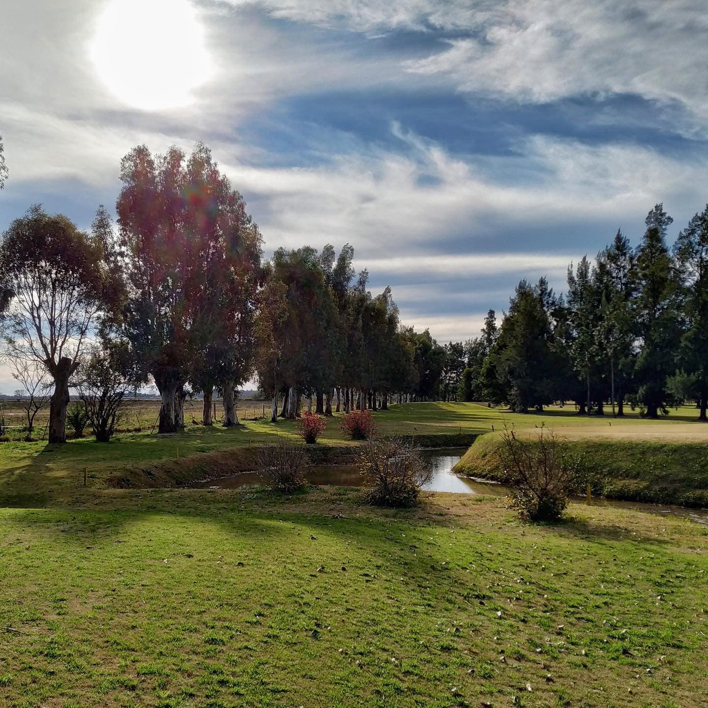 NAVARRO GOLF CLUB