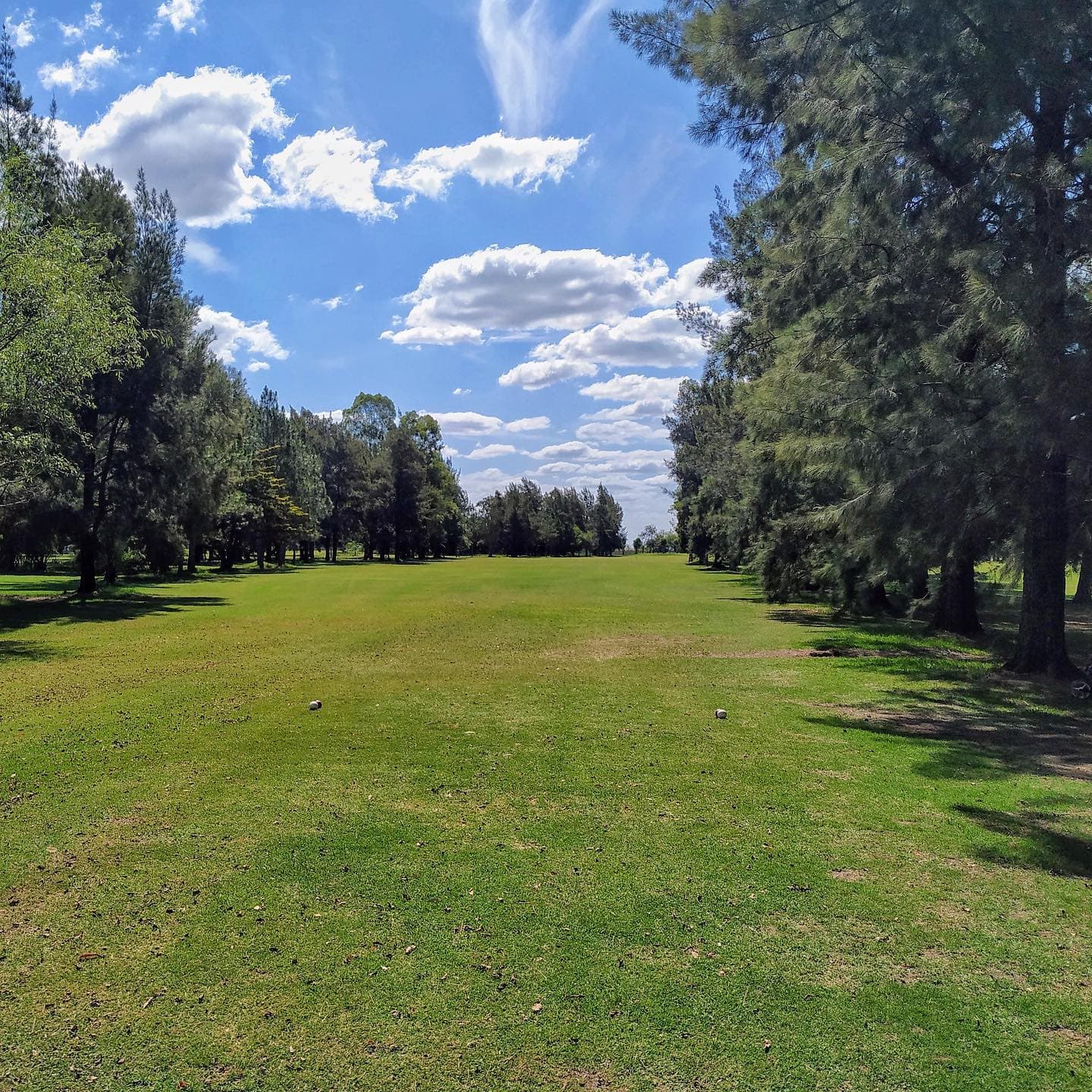 NAVARRO GOLF CLUB