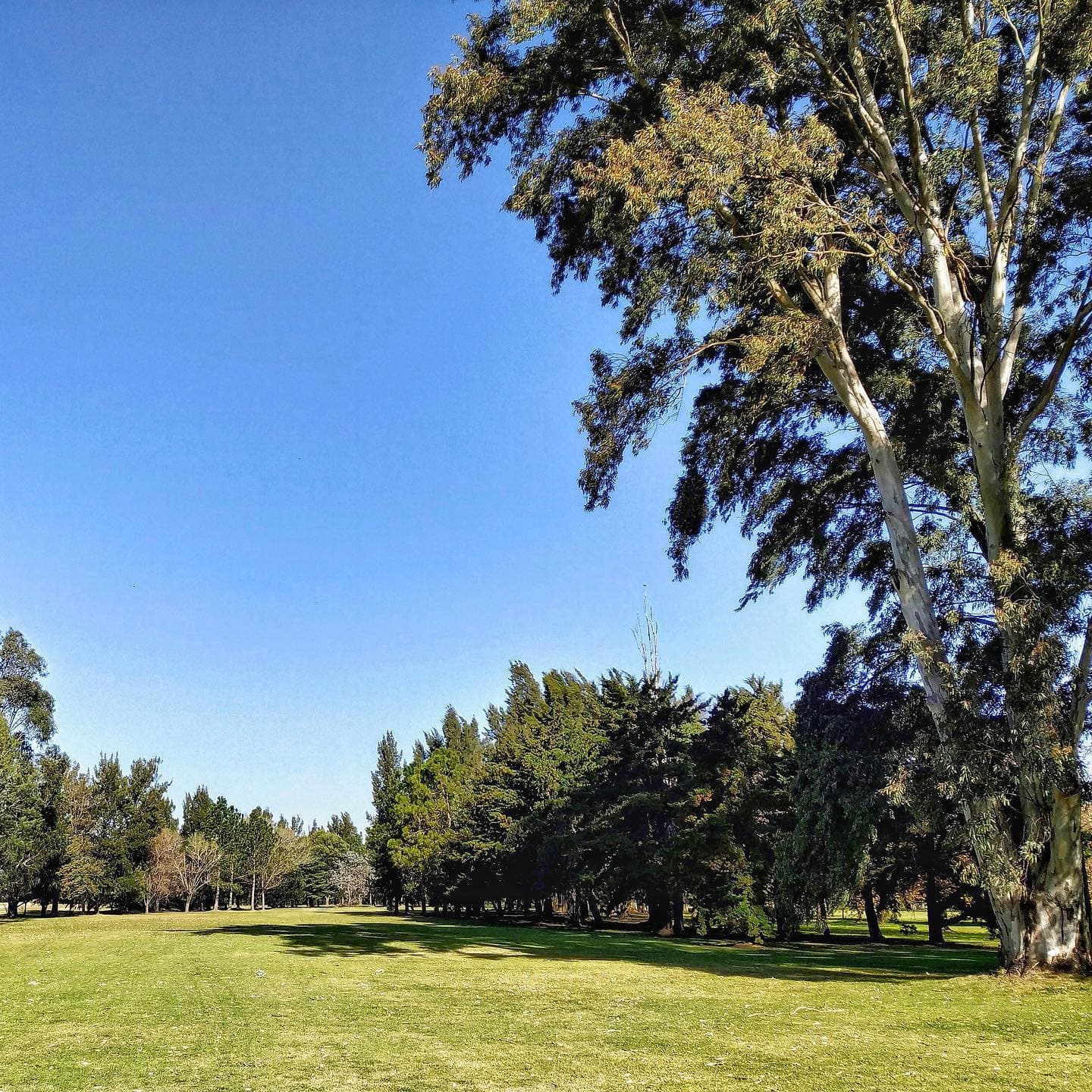 NAVARRO GOLF CLUB