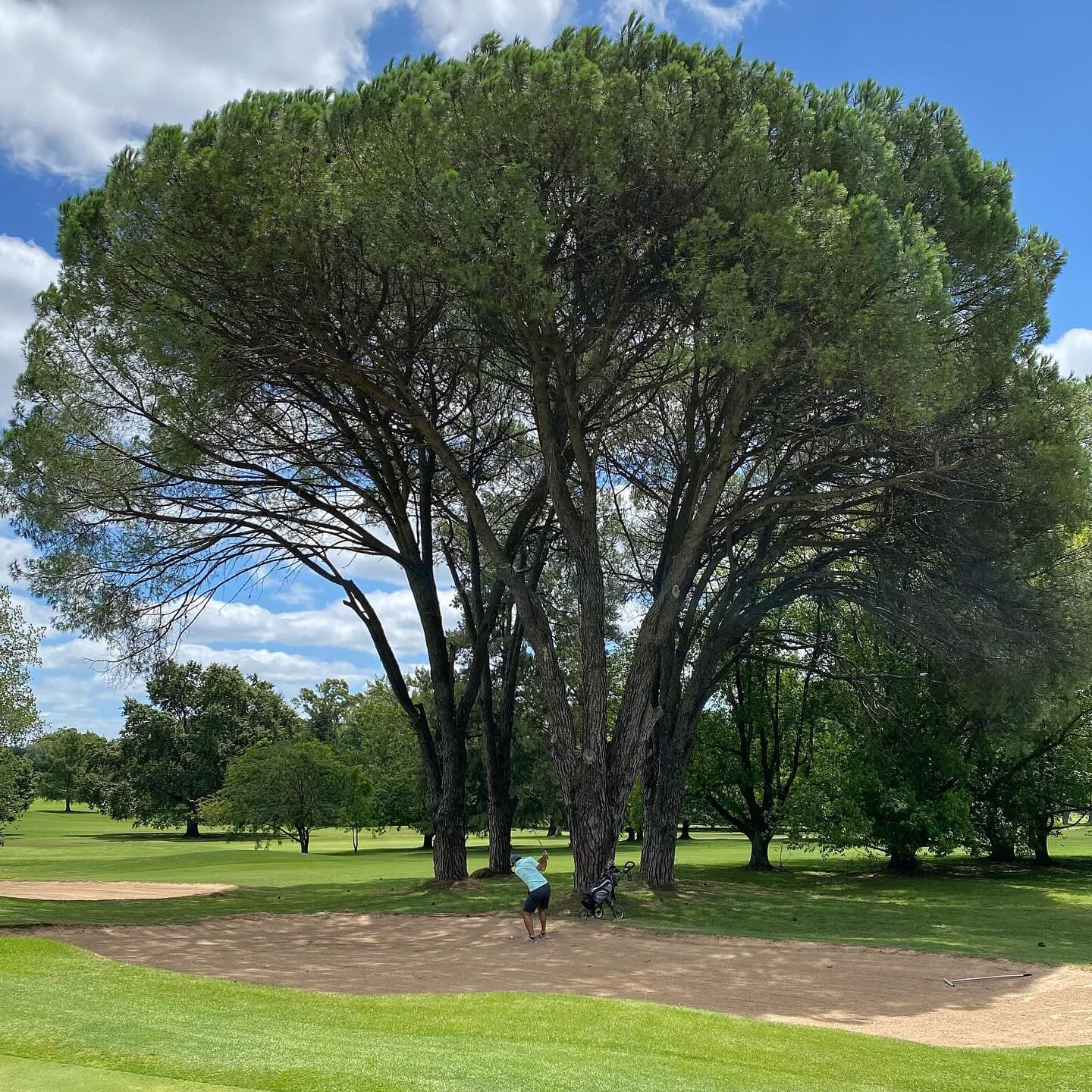 OLIVOS GOLF CLUB