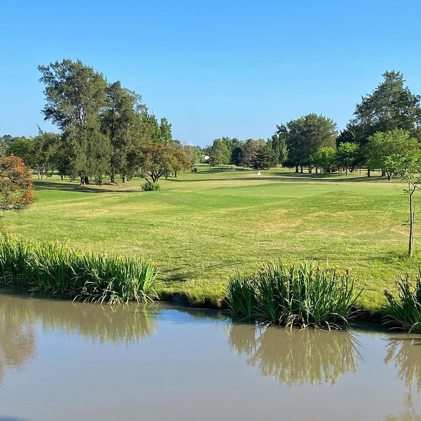 PACHECO GOLF CLUB