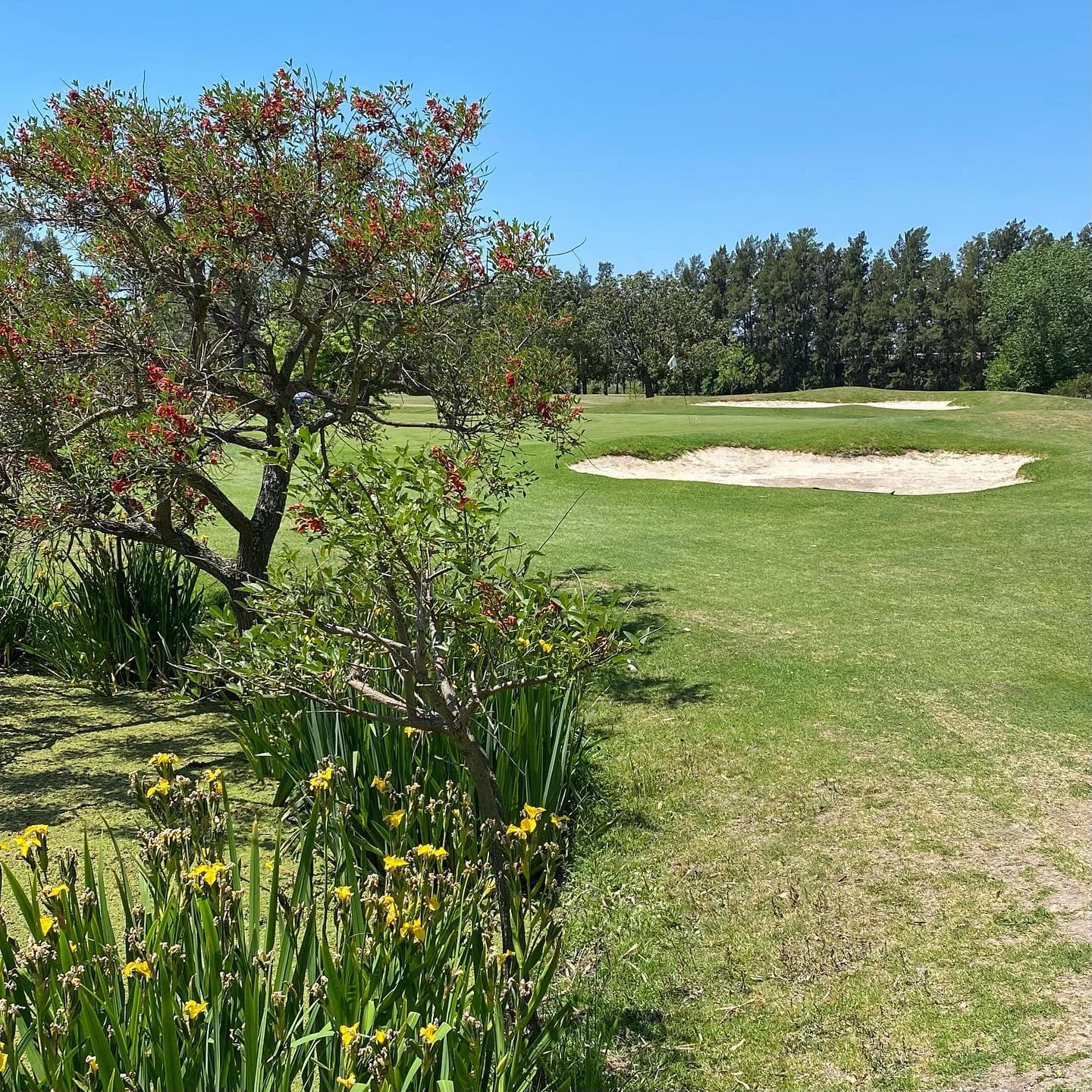 PACHECO GOLF CLUB