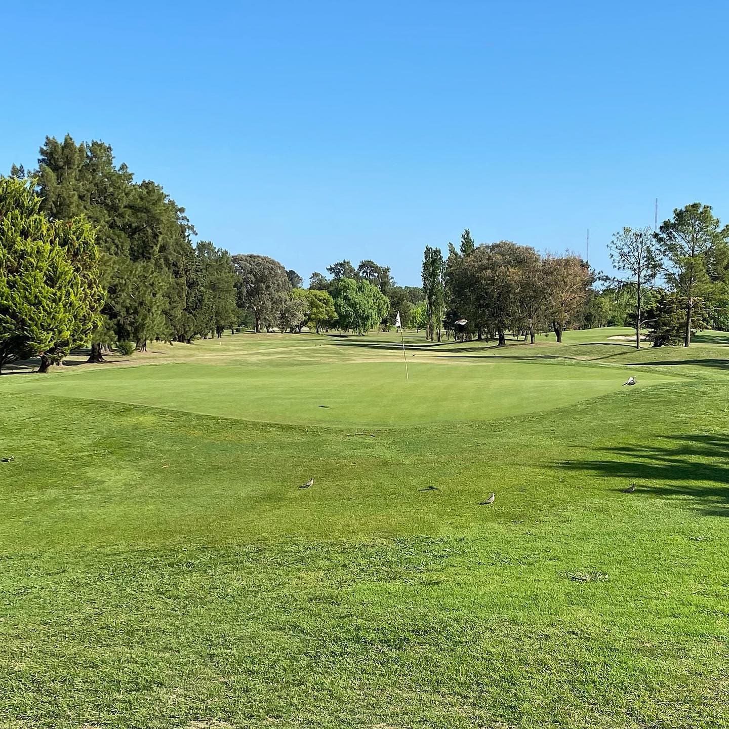 PACHECO GOLF CLUB