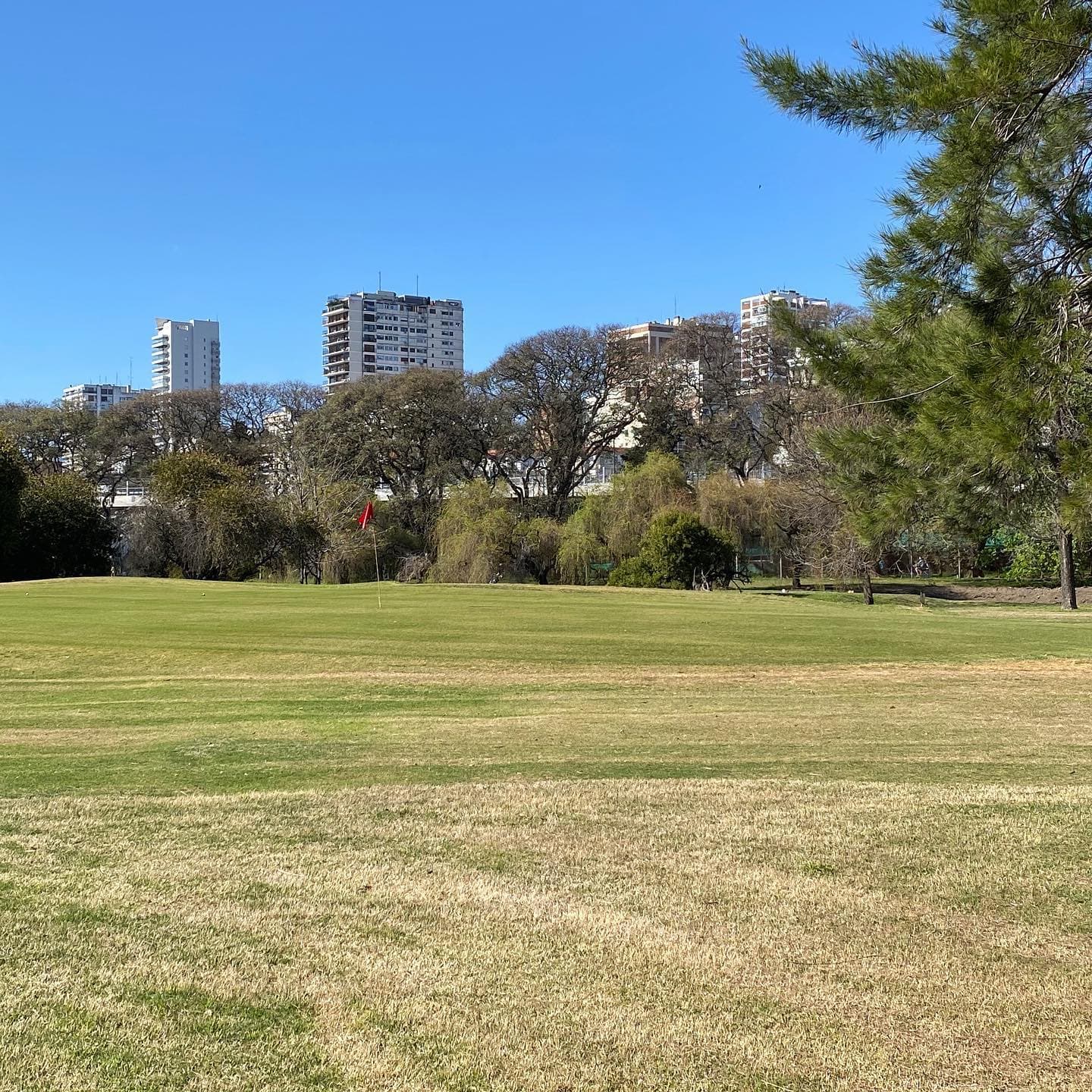 GOLF CLUB JOSE JURADO