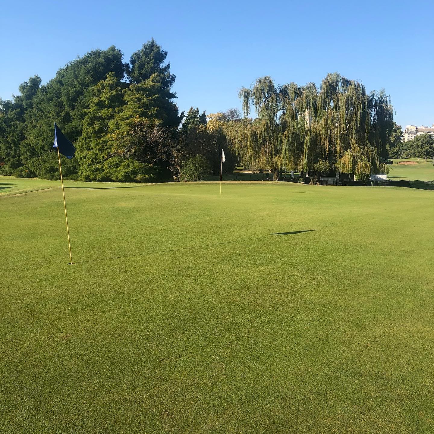 GOLF CLUB JOSE JURADO