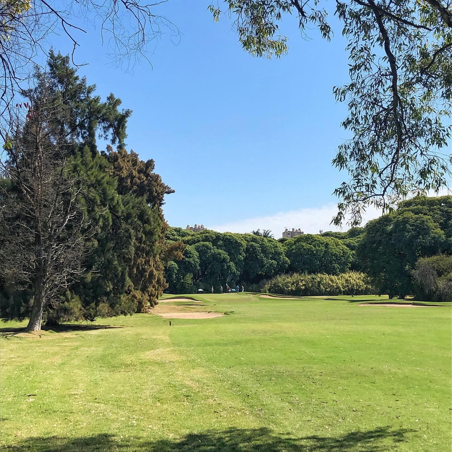 GOLF CLUB JOSE JURADO